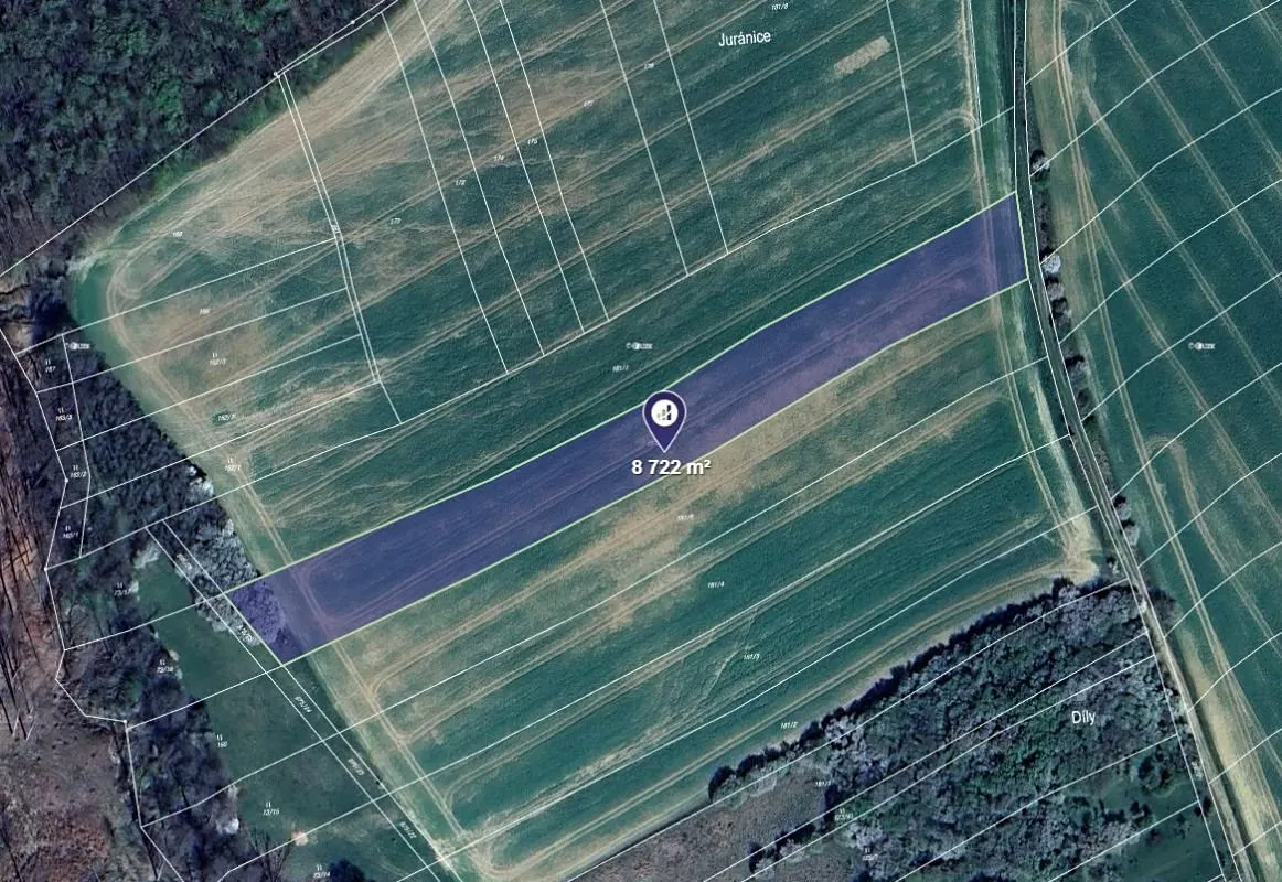 Prodej pole 11305 m²